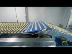 Fours à bande d'acier pour les industries alimentaires