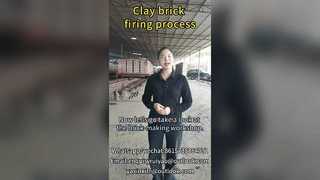 Four tunnel pour le processus de cuisson de briques d'argile